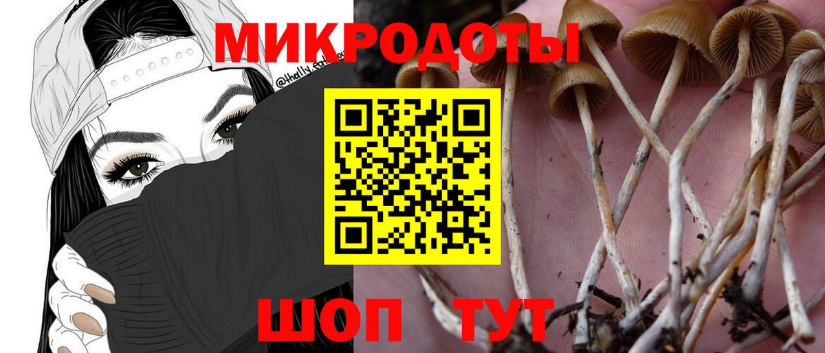 Псилоцибиновые грибы мицелий  Псилоцибиновые грибы прущие грибы  Сургут  Вход с VPN 